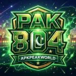 PAK804 Game