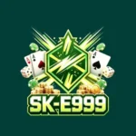 E999 Game